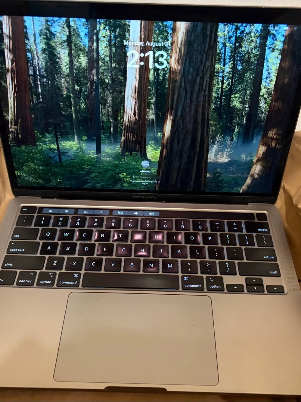 Apple MacBook Pro 2020 Laptop - 256GB